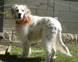 Ethel Mae